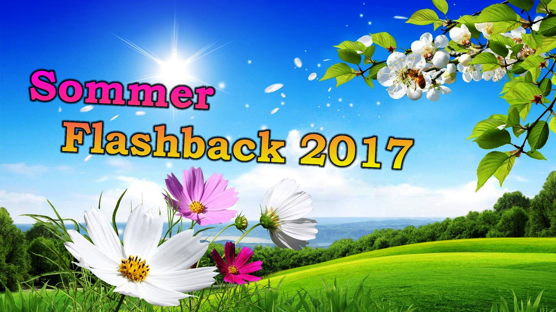 Sommer Flashback 2021 in Mix DJ Shorty 44.Neu